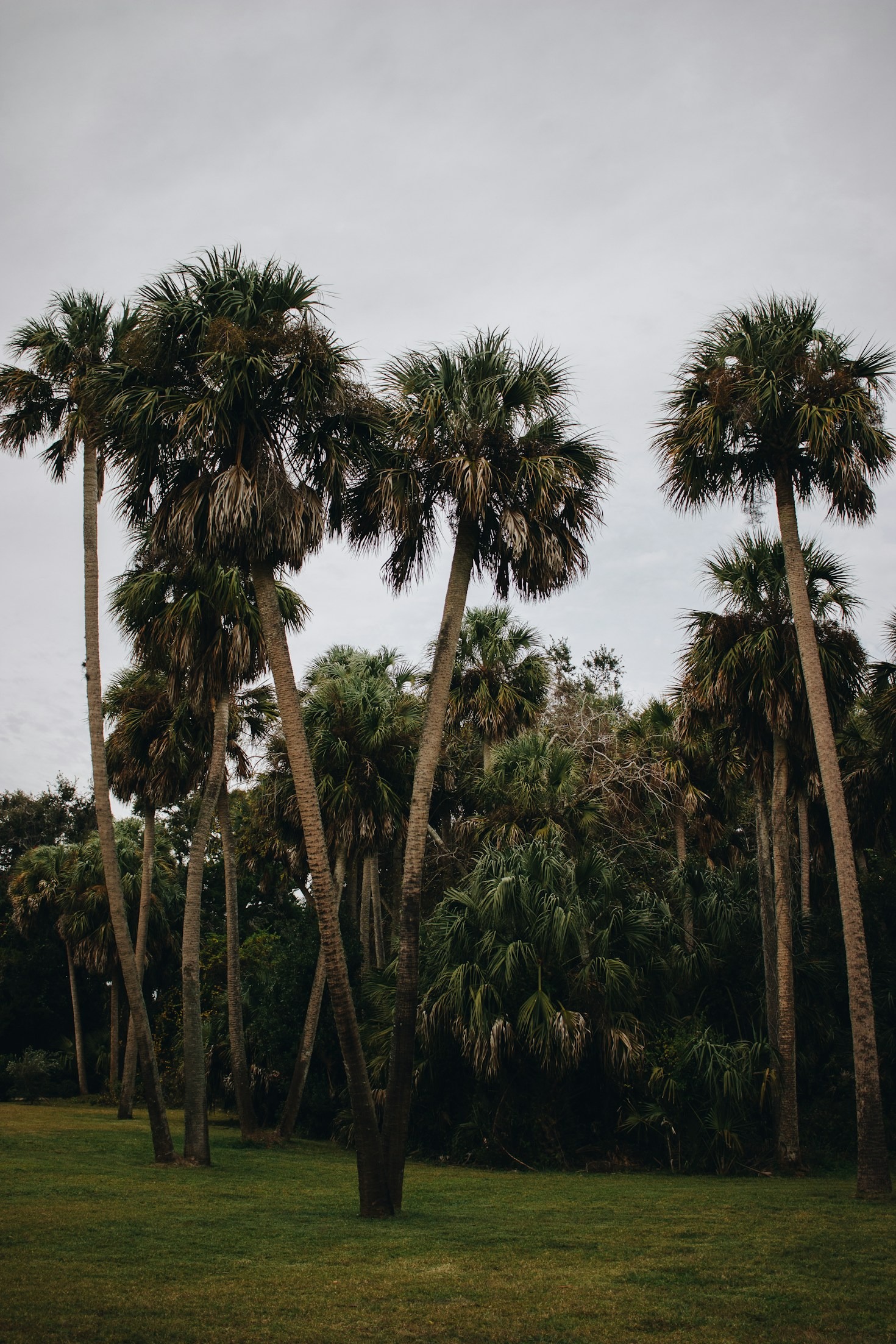 A Guide to Florida’s Most Charming Coastal Towns