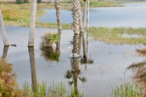 How to Plan the Perfect Nature Coast Getaway
