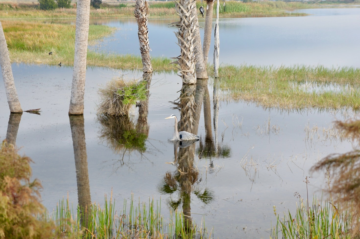 How to Plan the Perfect Nature Coast Getaway